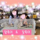 리프패럿앵무새체험관 - 통영시 동달안길 34-84 | 리프패럿앵무새체험관