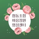 협동조합마음정원영성센터