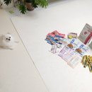 벅스소프트 | 강아지 간식 내돈내산 개껌 츄르 야채믹스까지