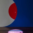 pet39거4972 이미지