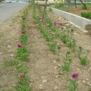 각남우체국 이미지