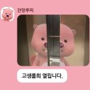 원조마포구이 이미지