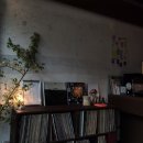 박효리군 동물병원 이미지