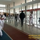 장군태권도장 이미지