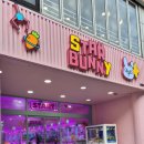 스타뽑기샵 이미지