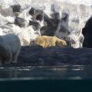 산들목장 이미지