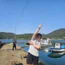 놀터캠핑장 | 경남 고성 놀터캠핑장 2번째 이야기｜폭우 속 알베르게 생존기 + 낚시 캠핑 , 방어회 맛집