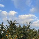 너와제주 이미지