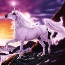 유니콘 이미지