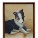 금강유화 이미지