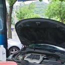 프로카센타 이미지