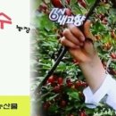 병만농장 이미지