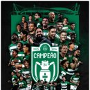 수비디오 이미지