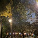 동남로29길 이미지