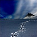 맛있는세상 이미지