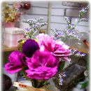 중리동사무소 이미지