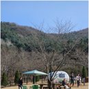 곤트란쉐리에 울미숲점