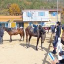 한국말산업고등학교 이미지