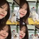 펫아울렛(수영강변점) | 세월이 야속해~