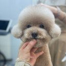 몽크의 아뜰리에 이미지