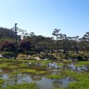 팔봉공설운동장 이미지