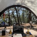 맹방비치캠핑장 이미지