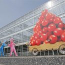 춘수농장 이미지