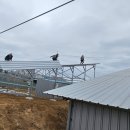 오산이태양광발전소 이미지