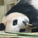 날마다 생일민박 이미지