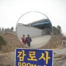 함파우길 이미지