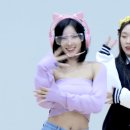 앨리스702
