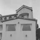 네르하쏠 이미지