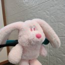 (주)핸드스튜디오 | 30개월아기 마이크로킥보드 미니 핸드 디럭스 민트 후기