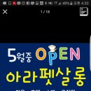 아라펫살롱 네이버블로그