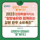 남대천 야구장_리틀 이미지