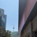 까르띠에 러브팔찌 클래식 구매 후기｜명동 신세계백화점 오픈런 꿀팁