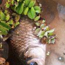 작전여자고등학교 이미지