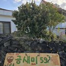 공새미59 | 제주 서귀포 조용한 바다앞 예쁜 식당 공새미59 밥집 솔직후기