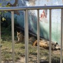 달성공원 이미지