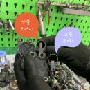 산돌모터스 네이버블로그