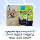 펫엔독