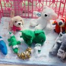 새솔동물병원 이미지