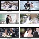 본식 dvd 업체 추천 필름미뇽 계약 후기 (짝꿍코드O)