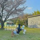 월포해수욕장 북부화장실 | 포항애견펜션 | 올레애견펜션 | 월포해수욕장