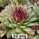 G0219 네이버블로그