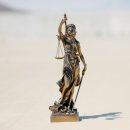 장안행정사사무소 이미지