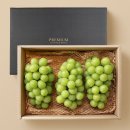 샤인밸리 이미지