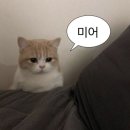 의성종합운동장 | 불후의명곡 로맨틱홀리데이 방청 후기 @의성종합운동장