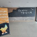 콜로코프로젝트