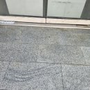 임학약국 이미지